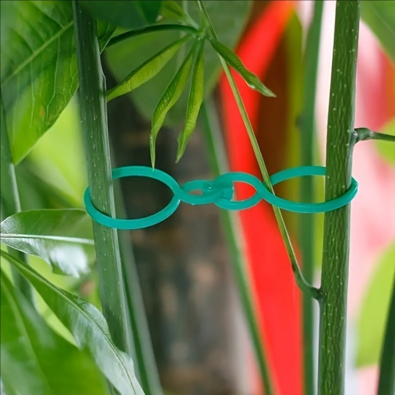125 Adet Bahçe Bitki Destek Se - Vine Climbing Plastic incelemesi ve fiyatı