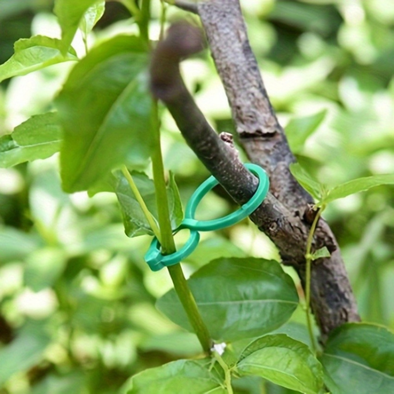 125 Adet Bahçe Bitki Destek Se - Vine Climbing Plastic incelemesi ve fiyatı