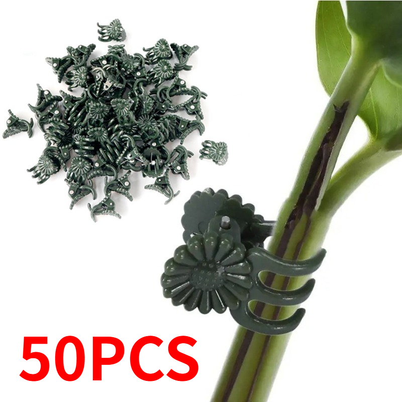 50 Adet 5 Tırnaklı Koyu Yeşil  - Vine Climbing Plastic incelemesi ve fiyatı