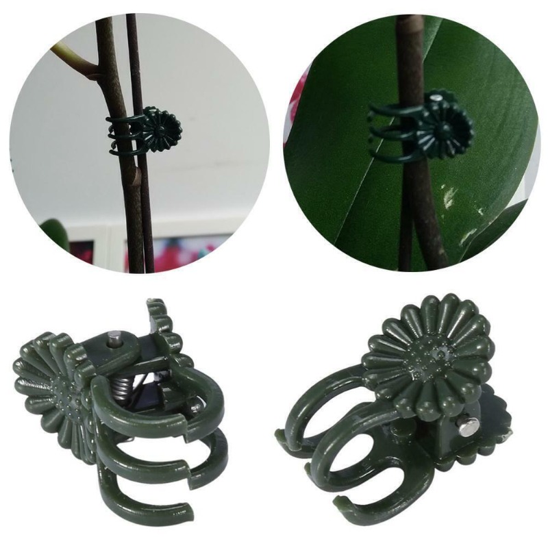 50 Adet 5 Tırnaklı Koyu Yeşil  - Vine Climbing Plastic incelemesi ve fiyatı