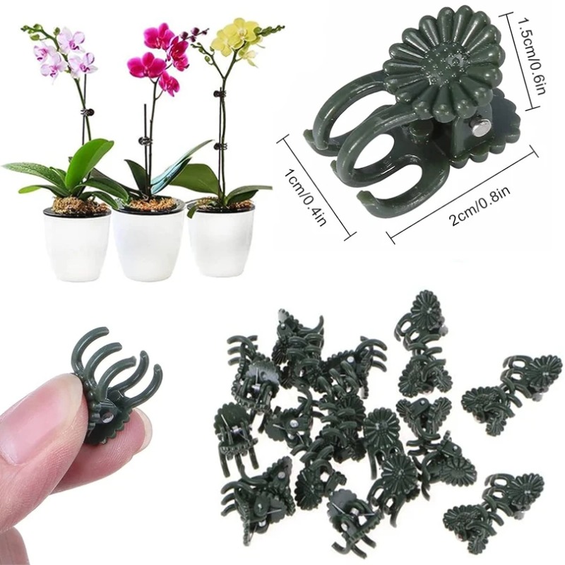 50 Adet 5 Tırnaklı Koyu Yeşil  - Vine Climbing Plastic incelemesi ve fiyatı