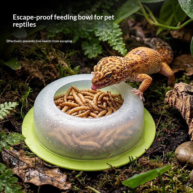 1 Adet ABS Sürüngen Besleme Ka - Water Dish Reptile incelemesi ve fiyatı