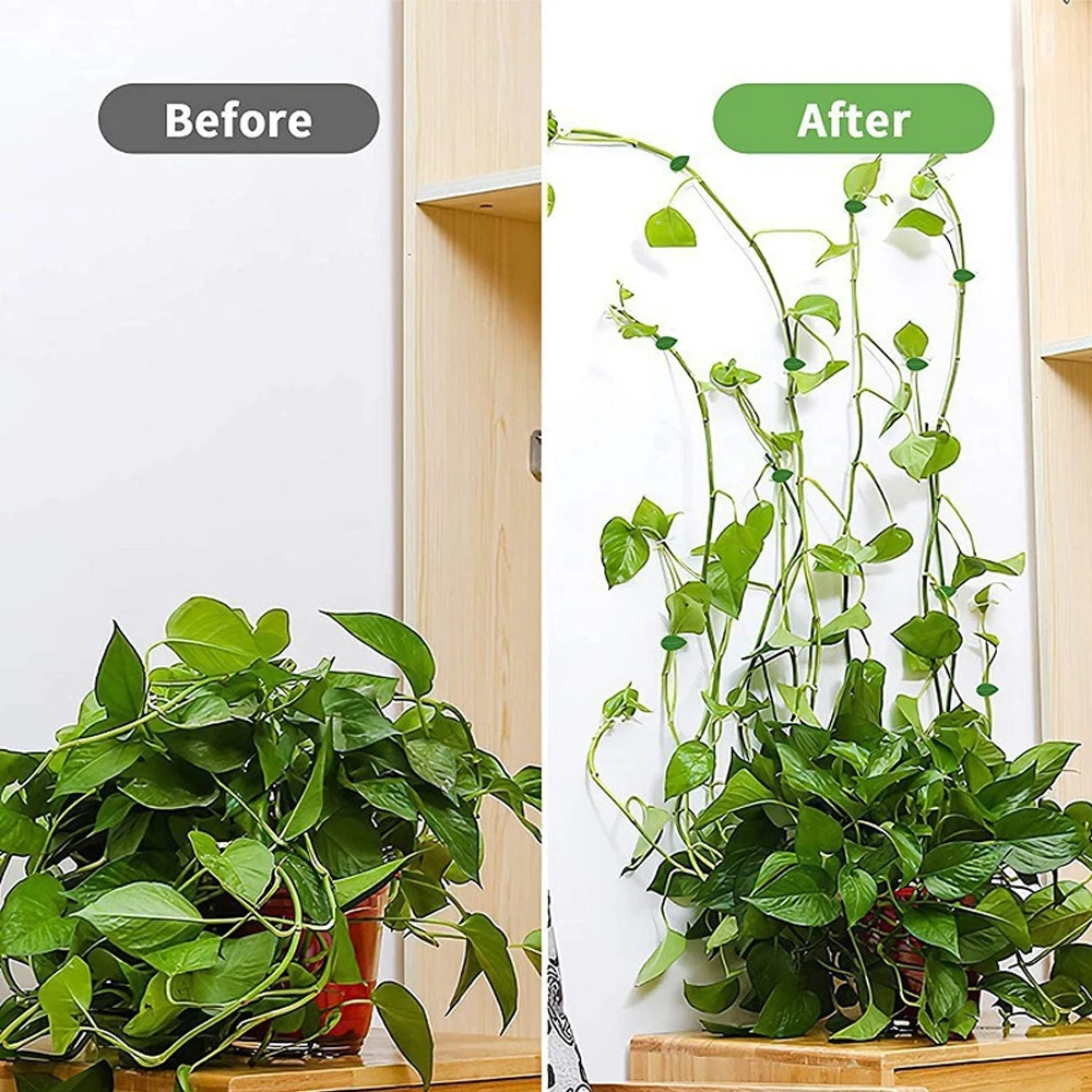10/30/50 Adet Bitki Tırmanma D - Vine Climbing Plastic incelemesi ve fiyatı